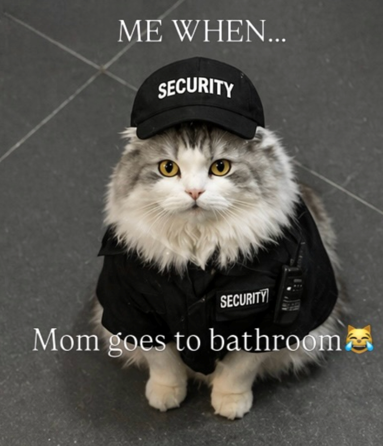 ME WHEN... SECURITY SECURITY Mom goes to bathroom