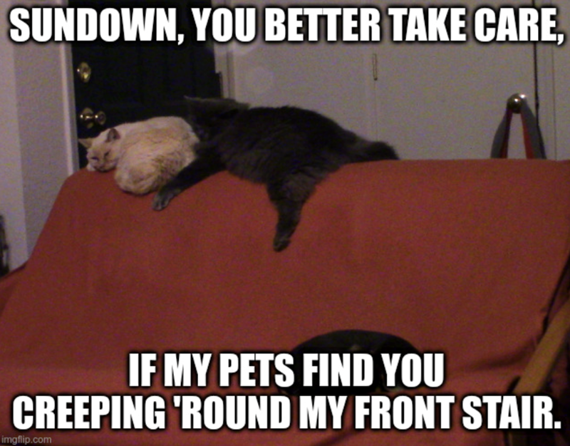 SUNDOWN, YOU BETTER TAKE CARE, IF MY PETS FIND YOU CREEPING 'ROUND MY FRONT STAIR. imgflip.com