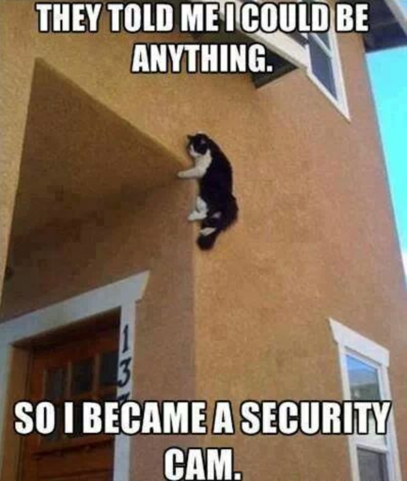 THEY TOLD ME I COULD BE ANYTHING. SO I BECAME A SECURITY CAM.
