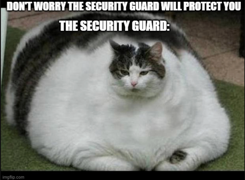 DON'T WORRY THE SECURITY GUARD WILL PROTECT YOU THE SECURITY GUARD: imgflip.com
