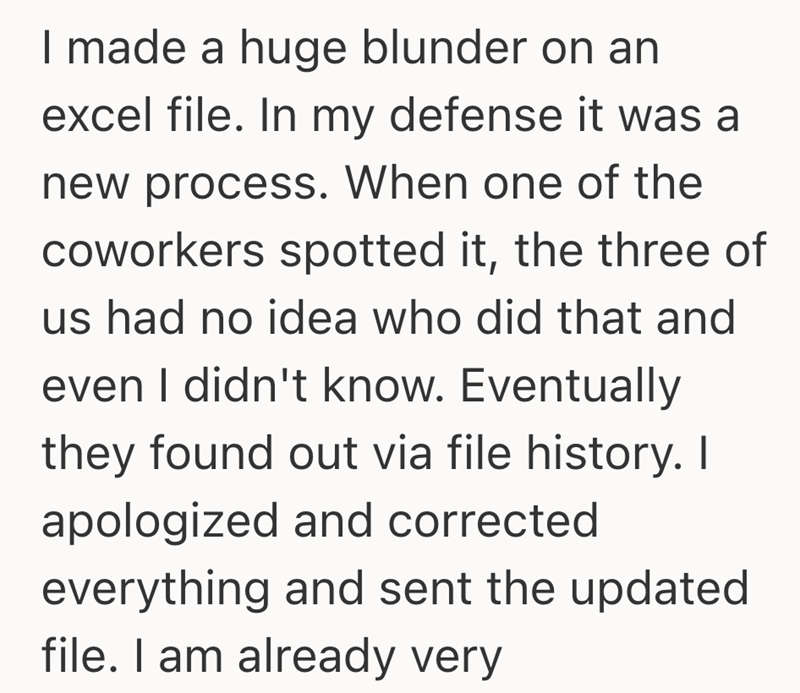 I made a huge blunder on an excel file. In my defense it was a new process. When one of the coworkers spotted it, the three of us had no idea who did that and even I didn't know. Eventually they found out via file history. I apologized and corrected everything and sent the updated file. I am already very