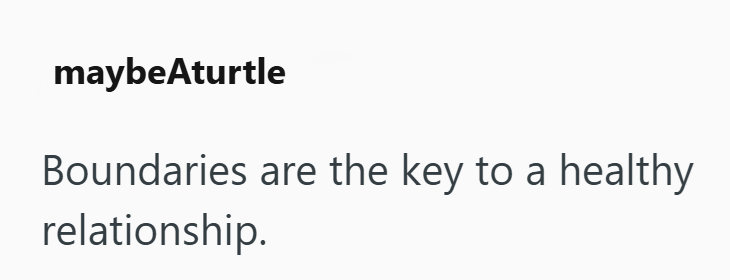 maybeAturtle Boundaries are the key to a healthy relationship.