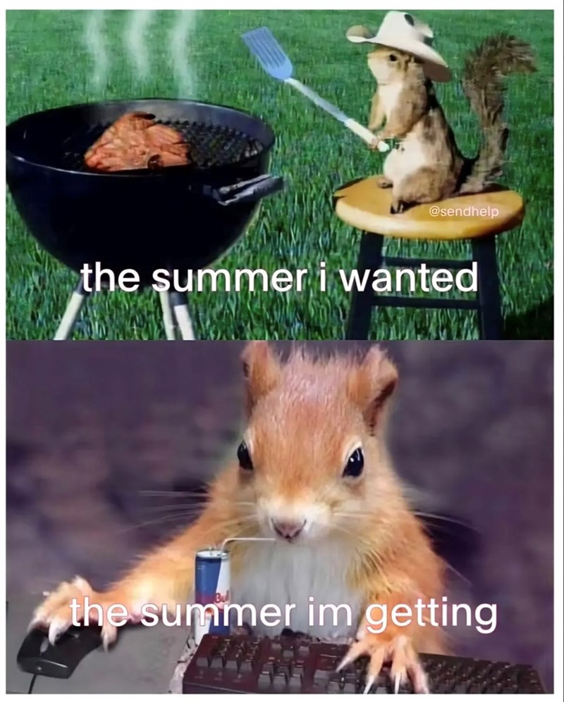 @sendhelp the summer i wanted the summer im getting