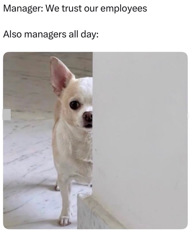 Manager: We trust our employees Also managers all day:
