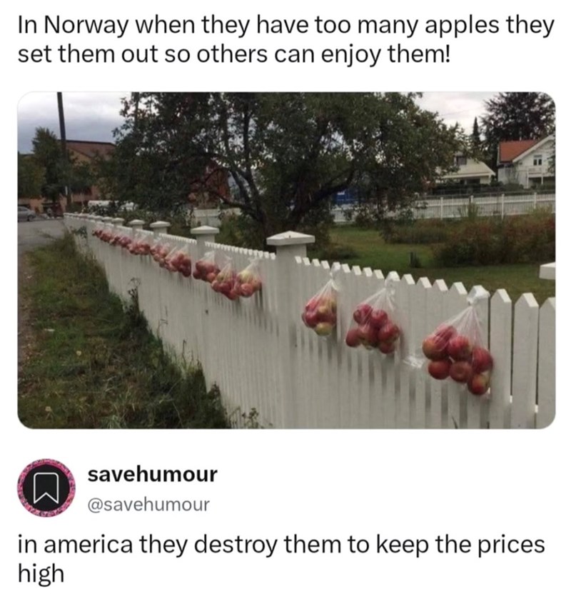 In Norway when they have too many apples they set them out so others can enjoy them! ☐ savehumour @savehumour in america they destroy them to keep the prices high