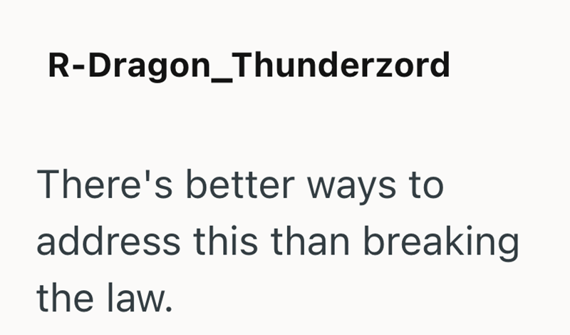 R-Dragon_Thunderzord There's better ways to address this than breaking the law.