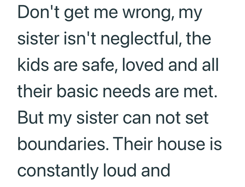 Don't get me wrong, my sister isn't neglectful, the kids are safe, loved and all their basic needs are met. But my sister can not set boundaries. Their house is constantly loud and