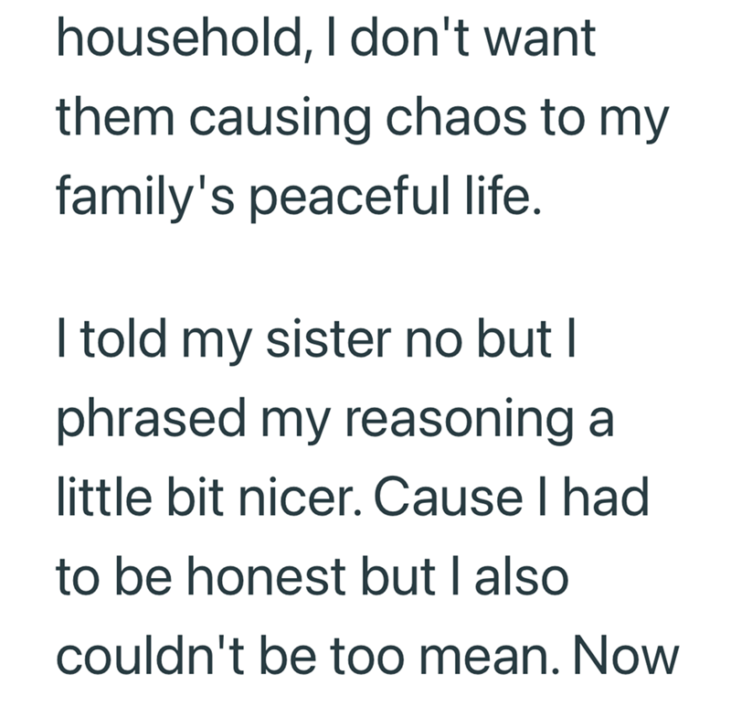 household, I don't want them causing chaos to my family's peaceful life. I told my sister no but I phrased my reasoning a little bit nicer. Cause I had to be honest but I also couldn't be too mean. Now
