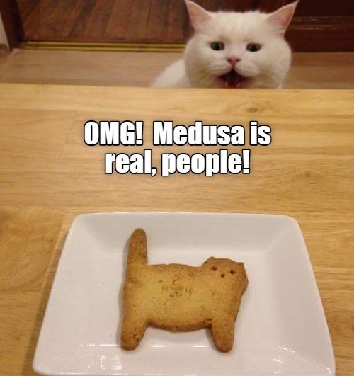 Cheezburger Image 10649487616
