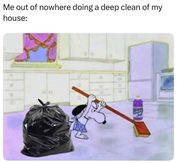 Me out of nowhere doing a deep clean of my house: 000
