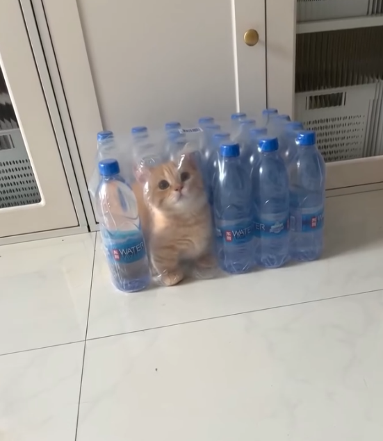 WATER WATE ER te a