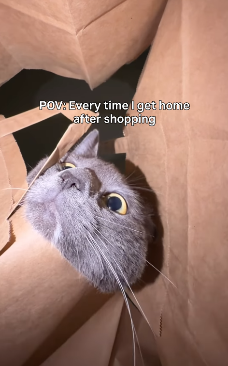POV: Every time I get home after shopping