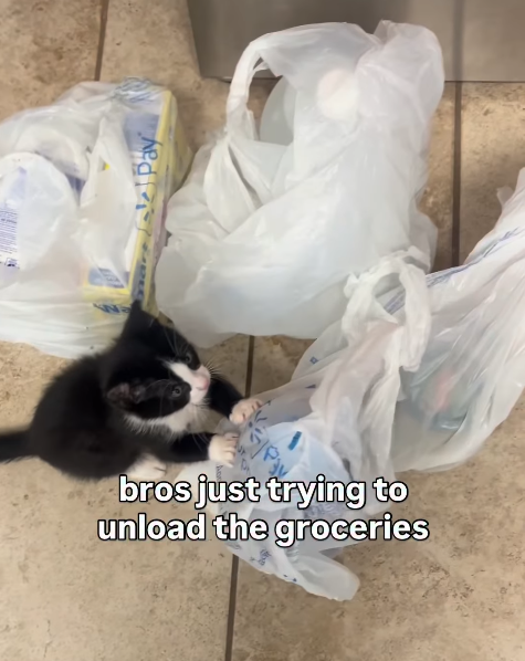 Pay bros just trying to unload the groceries