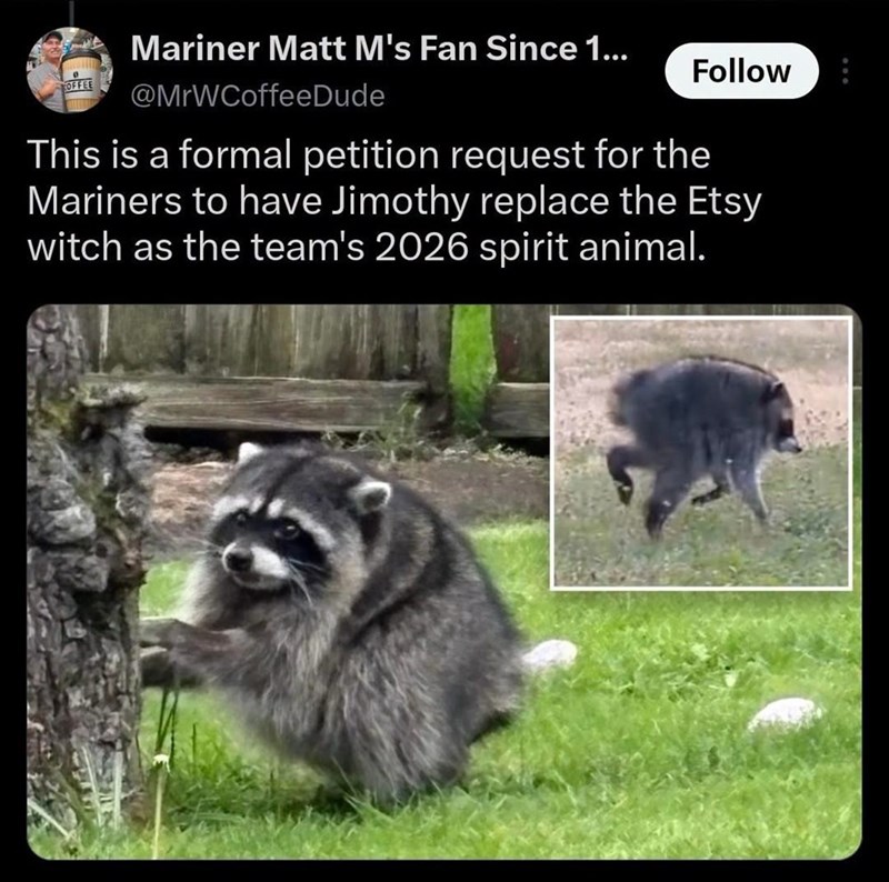 OFFEE Mariner Matt M's Fan Since 1... @MrWCoffeeDude Follow This is a formal petition request for the Mariners to have Jimothy replace the Etsy witch as the team's 2026 spirit animal.