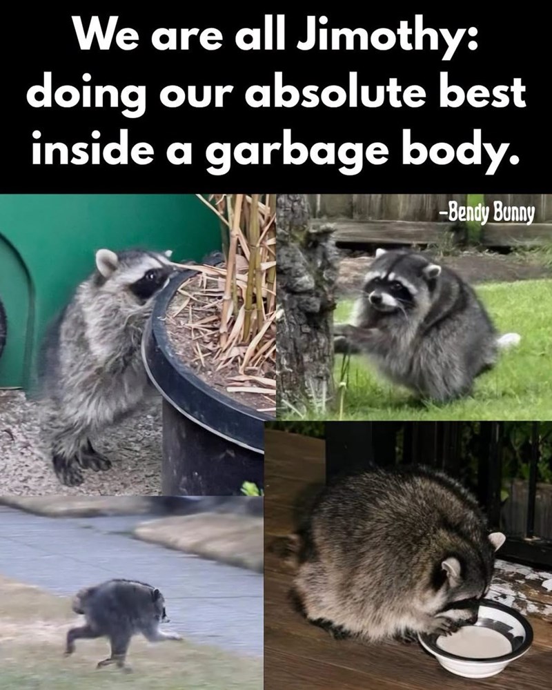 We are all Jimothy: doing our absolute best inside a garbage body. -Bendy Bunny
