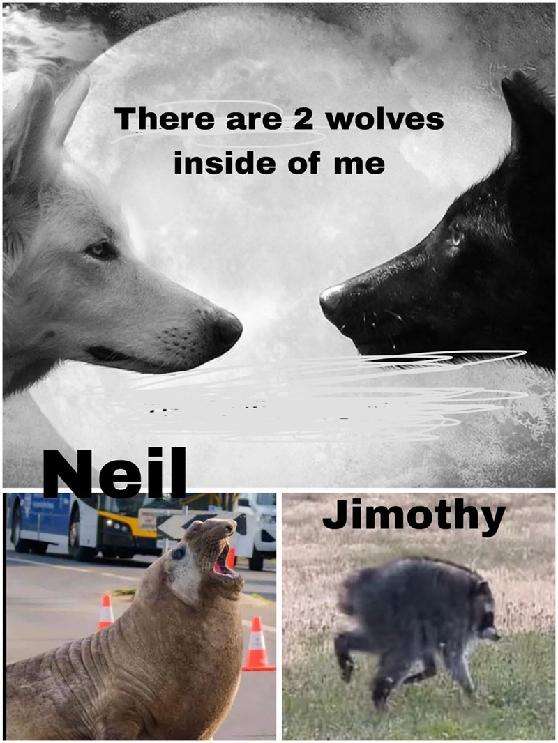There are 2 wolves inside of me Neil Jimothy
