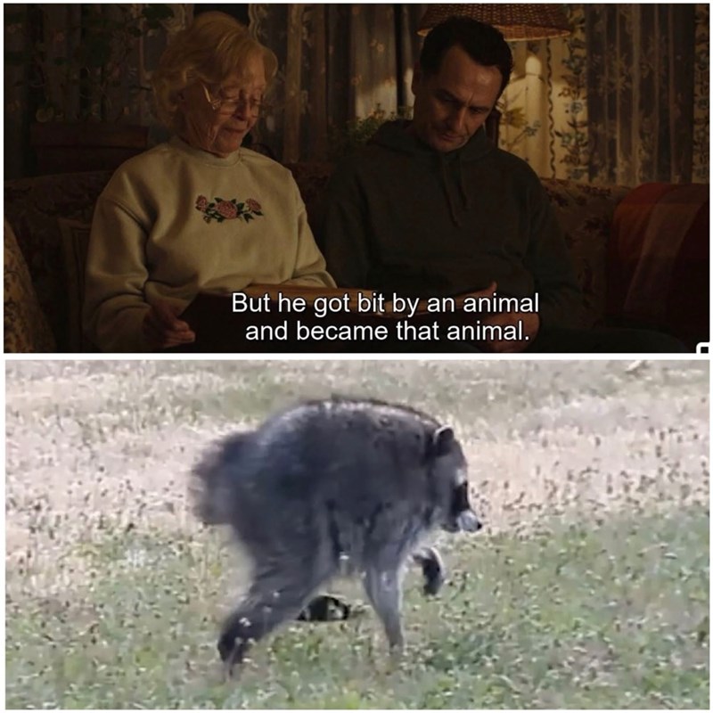 But he got bit by an animal and became that animal.