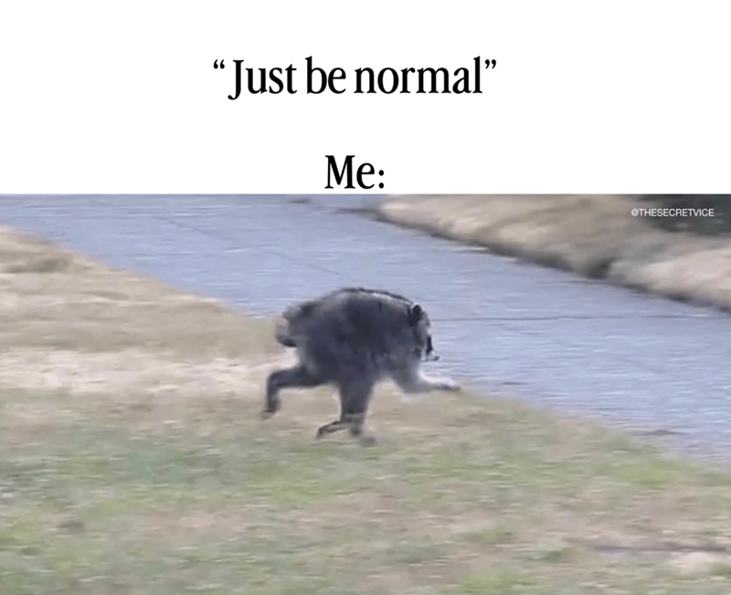 "Just be normal" Me: @THESECRETVICE