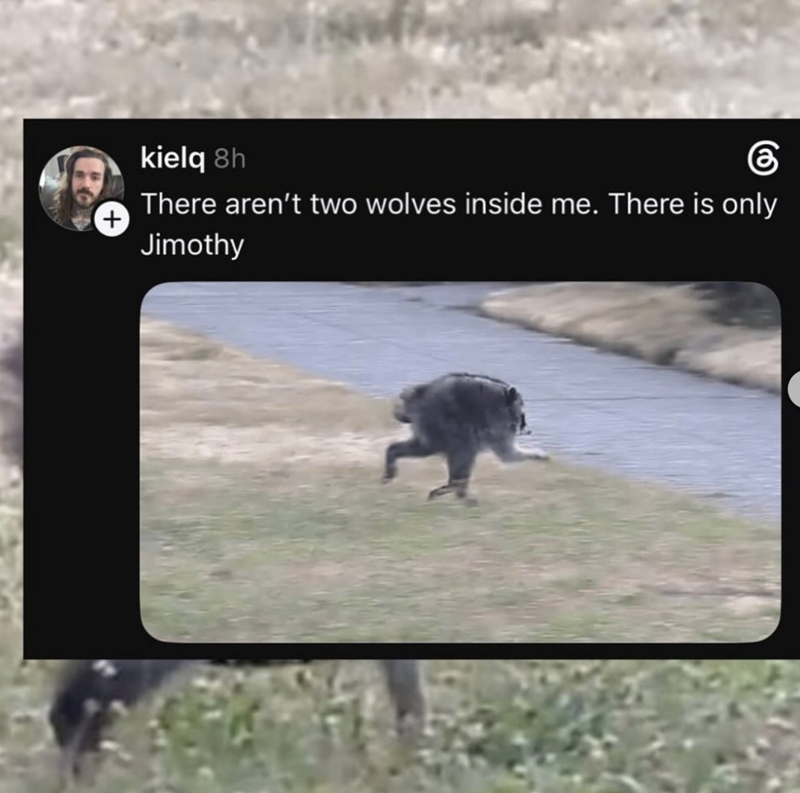 + kielq 8h கு There aren't two wolves inside me. There is only Jimothy