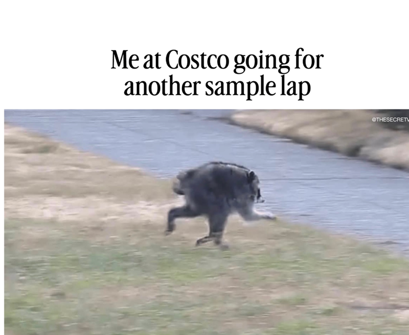 Me at Costco going for another sample lap @THESECRETV