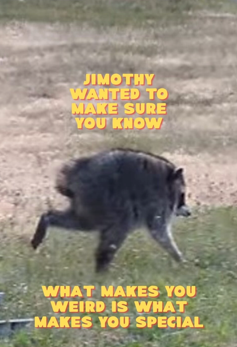 JIMOTHY WANTED TO MAKE SURE YOU KNOW WHAT MAKES YOU WEIRD IS WHAT MAKES YOU SPECIAL