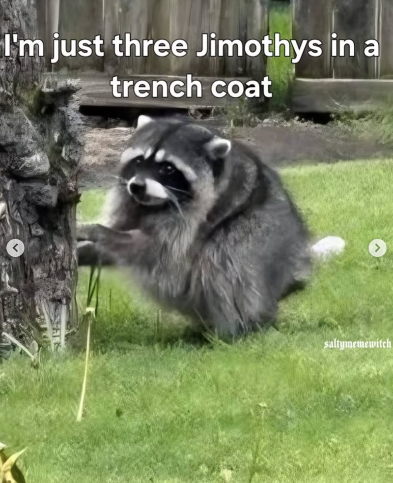 I'm just three Jimothys in a trench coat saltymemewitch