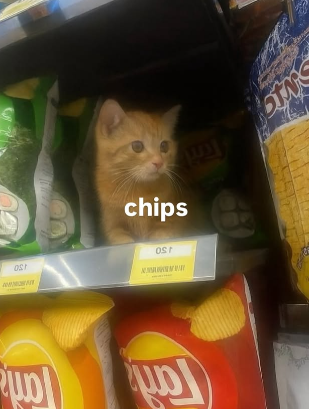 MG E am Jame 50 SO chips