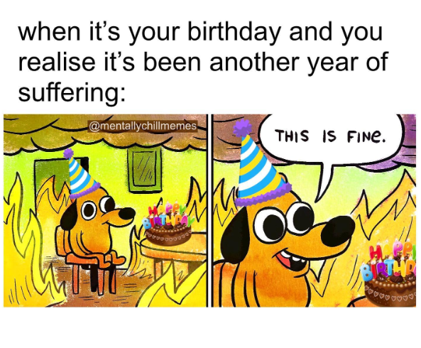 when it's your birthday and you realise it's been another year of suffering: @mentallychillmemes THIS IS FINE.