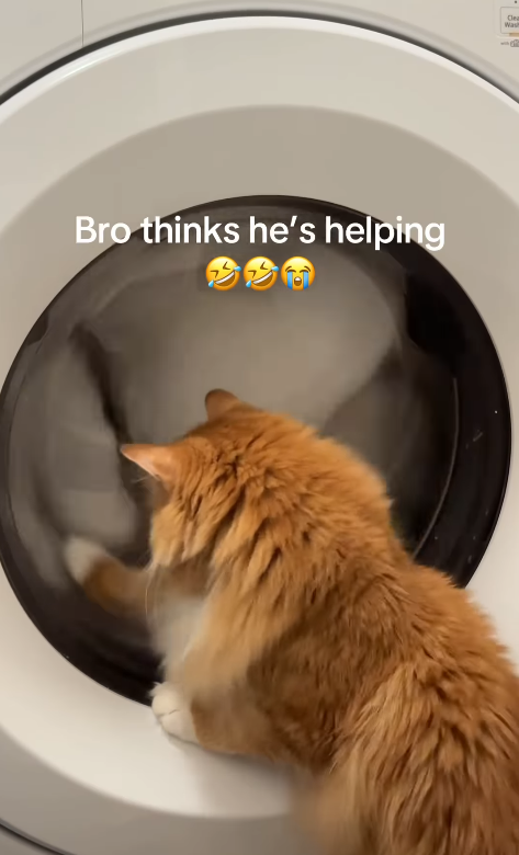 Bro thinks he's helping Clear Wash