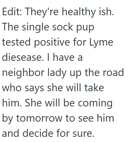 Edit: They're healthy ish. The single sock pup tested positive for Lyme diesease. I have a neighbor lady up the road. who says she will take him. She will be coming by tomorrow to see him and decide for sure.