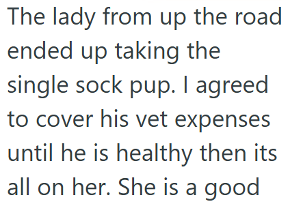 The lady from up the road ended up taking the single sock pup. I agreed to cover his vet expenses until he is healthy then its all on her. She is a good