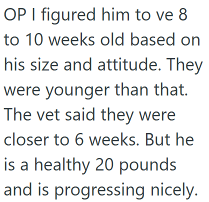 OP I figured him to ve 8 to 10 weeks old based on his size and attitude. They were younger than that. The vet said they were closer to 6 weeks. But he is a healthy 20 pounds and is progressing nicely.