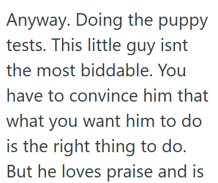 Anyway. Doing the puppy tests. This little guy isnt the most biddable. You have to convince him that what you want him to do is the right thing to do. But he loves praise and is