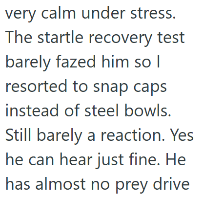 very calm under stress. The startle recovery test barely fazed him so I resorted to snap caps instead of steel bowls. Still barely a reaction. Yes he can hear just fine. He has almost no prey drive