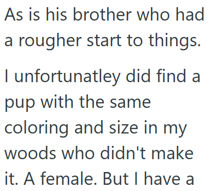 As is his brother who had a rougher start to things. I unfortunatley did find a pup with the same coloring and size in my woods who didn't make it. A female. But I have a