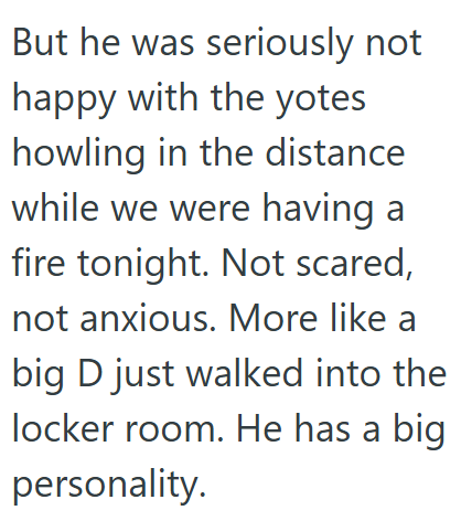 But he was seriously not happy with the yotes howling in the distance while we were having a fire tonight. Not scared, not anxious. More like a big D just walked into the locker room. He has a big personality.