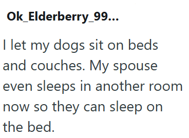 Ok_Elderberry_99... I let my dogs sit on beds and couches. My spouse even sleeps in another room now so they can sleep on the bed.