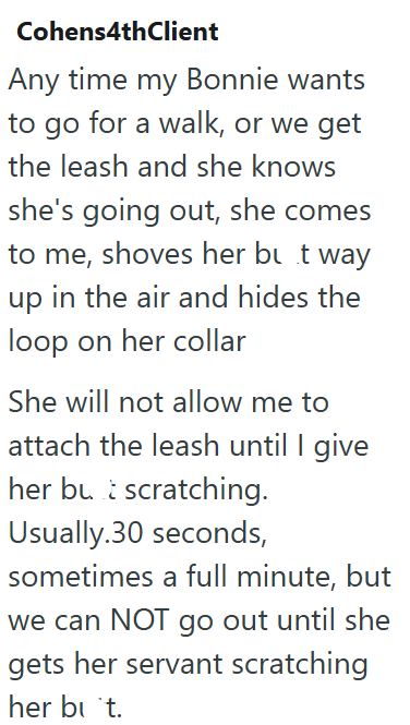 Cohens4thClient Any time my Bonnie wants to go for a walk, or we get the leash and she knows she's going out, she comes to me, shoves her but way up in the air and hides the loop on her collar She will not allow me to attach the leash until I give her but scratching. Usually.30 seconds, sometimes a full minute, but we can NOT go out until she gets her servant scratching her but.