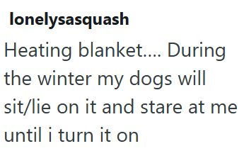 lonelysasquash Heating blanket.... During the winter my dogs will sit/lie on it and stare at me until i turn it on