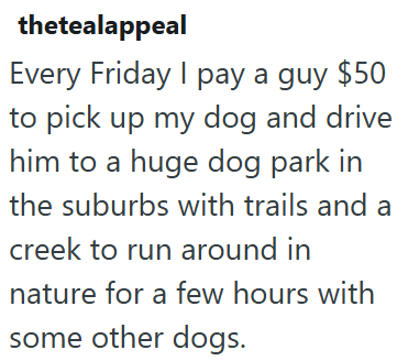 thetealappeal Every Friday I pay a guy $50 to pick up my dog and drive him to a huge dog park in the suburbs with trails and a creek to run around in nature for a few hours with some other dogs.