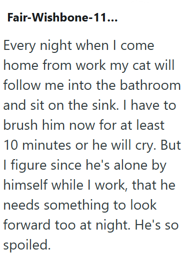 Fair-Wishbone-11... Every night when I come home from work my cat will follow me into the bathroom and sit on the sink. I have to brush him now for at least 10 minutes or he will cry. But I figure since he's alone by himself while I work, that he needs something to look forward too at night. He's so spoiled.