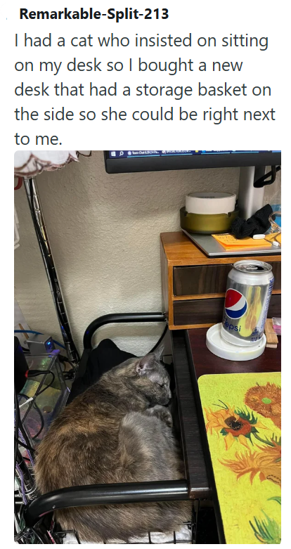 Remarkable-Split-213 I had a cat who insisted on sitting on my desk so I bought a new desk that had a storage basket on the side so she could be right next to me. psi
