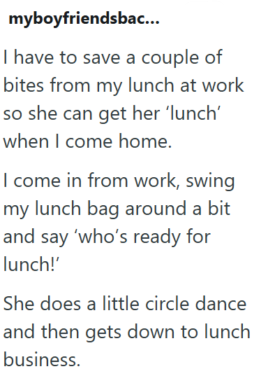 myboyfriendsbac... I have to save a couple of bites from my lunch at work so she can get her 'lunch' when I come home. I come in from work, swing my lunch bag around a bit and say 'who's ready for lunch!' She does a little circle dance and then gets down to lunch business.