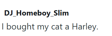 DJ_Homeboy_Slim I bought my cat a Harley.