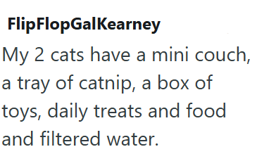 Flip FlopGalKearney My 2 cats have a mini couch, a tray of catnip, a box of toys, daily treats and food and filtered water.
