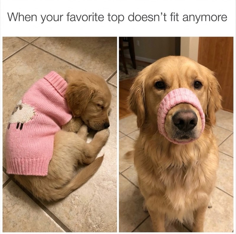When your favorite top doesn't fit anymore.