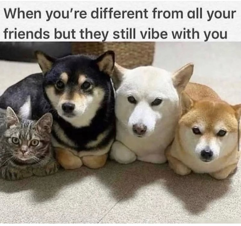 When you're different from all your friends but they still vibe with you