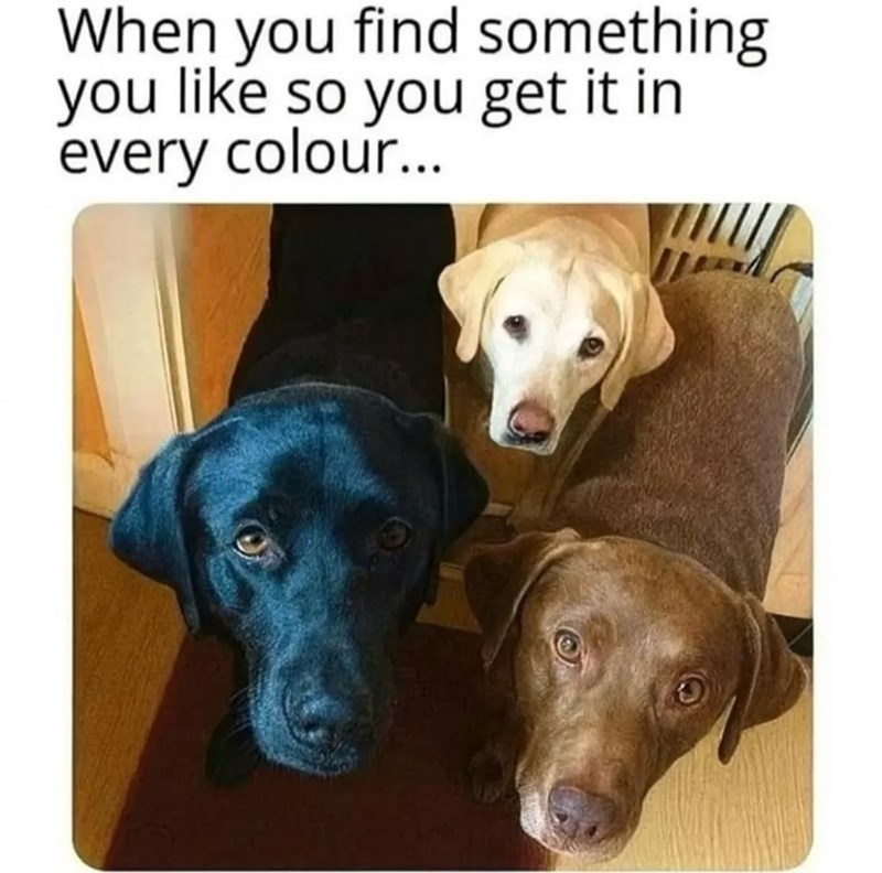 When you find something you like so you get it in every colour...