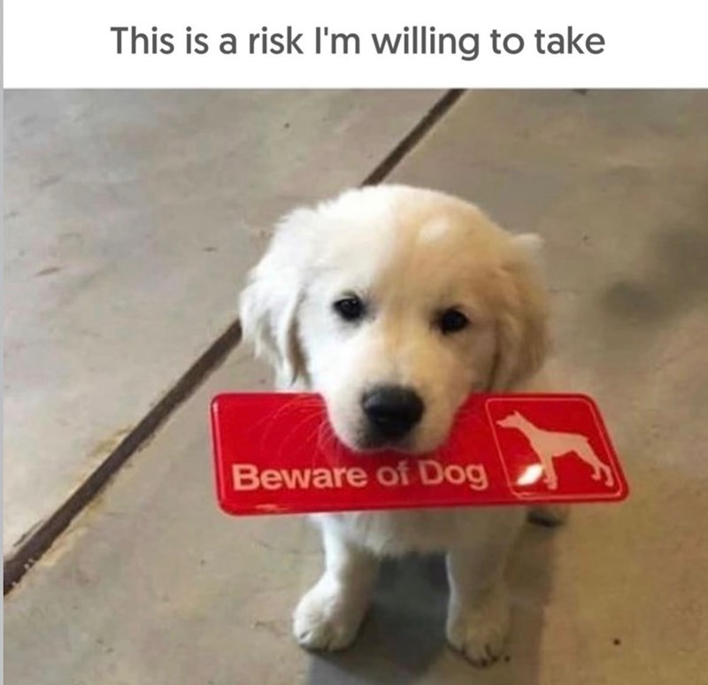 This is a risk I'm willing to take Beware of Dog