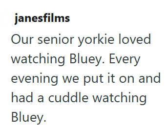 janesfilms Our senior yorkie loved watching Bluey. Every evening we put it on and had a cuddle watching Bluey.